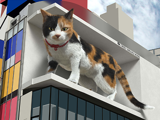 cat2