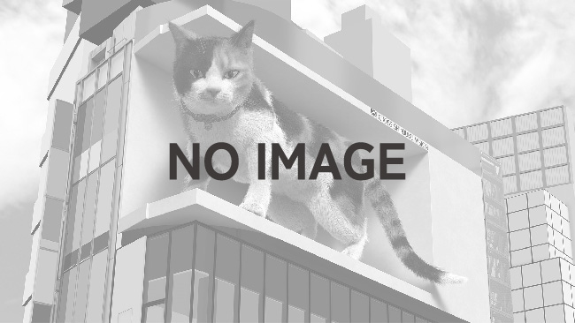 ノーイメージ