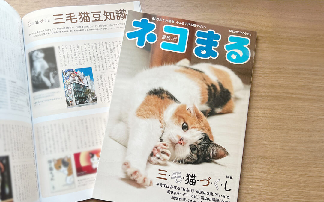 『ネコまる 2024 夏秋号 Vol.48』の特集「三毛猫づくし」で、新宿東口の猫が取材されました！