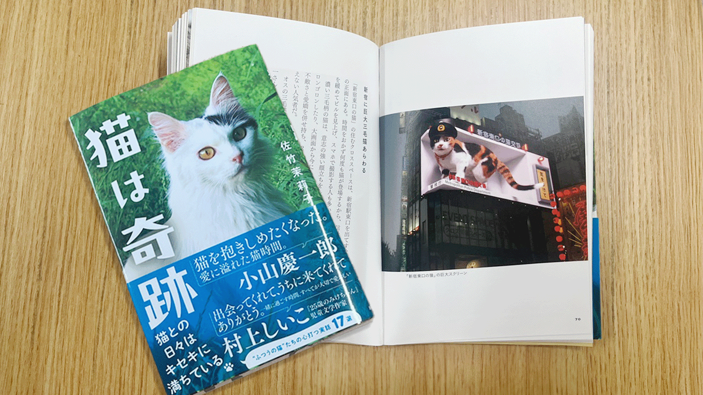 共感と感動を呼ぶ17の実話を集めた「猫は奇跡」の本の写真です。第七話のページには「新宿東口の猫」の写真が掲載されています。