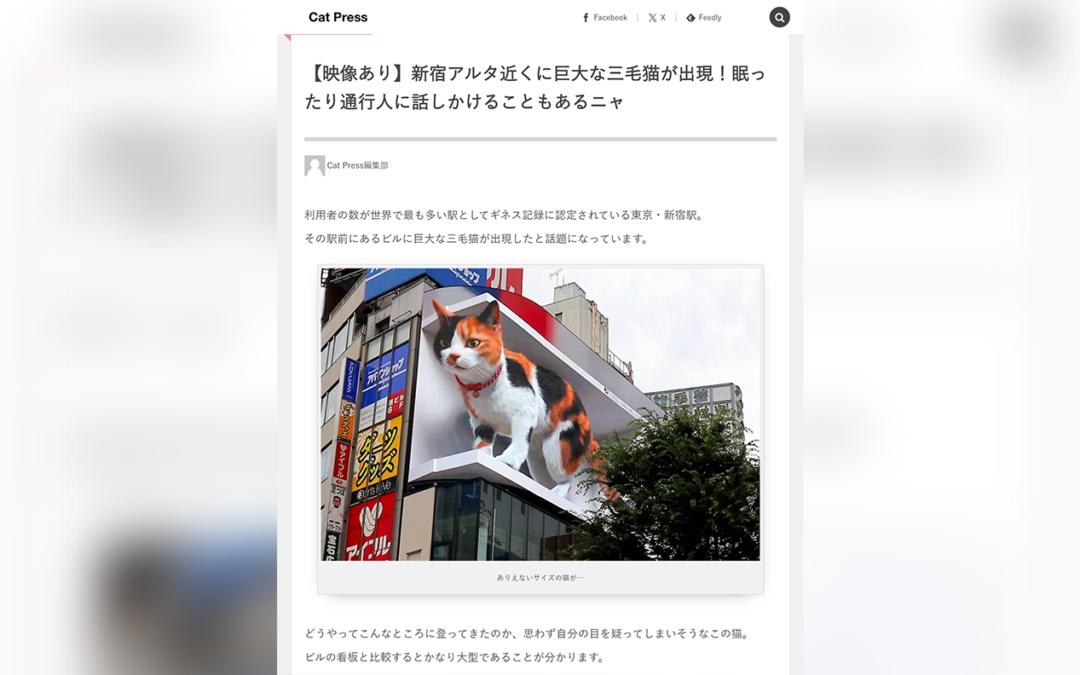 『Cat Press』で、新宿東口の猫が紹介されました！