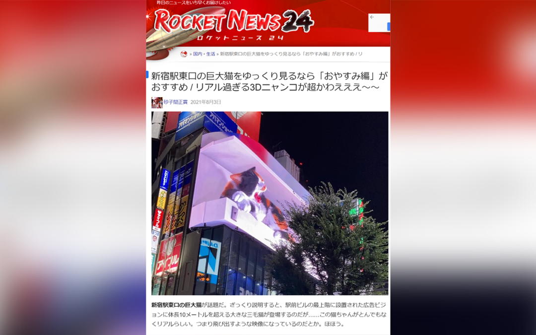 『ROCKET NEWS 24』で、猫さま動画「おやすみ編」が紹介されました！