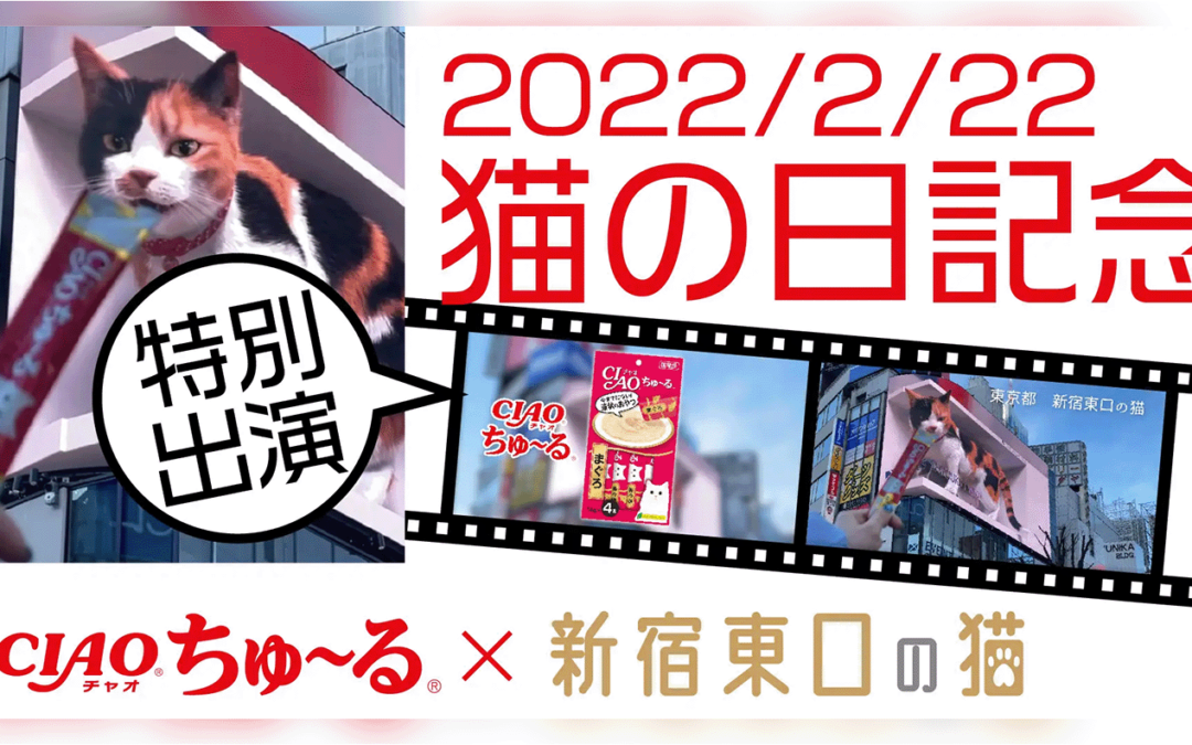 「猫の日」記念で猫さまが『CIAOちゅ～る』CMに特別出演しました