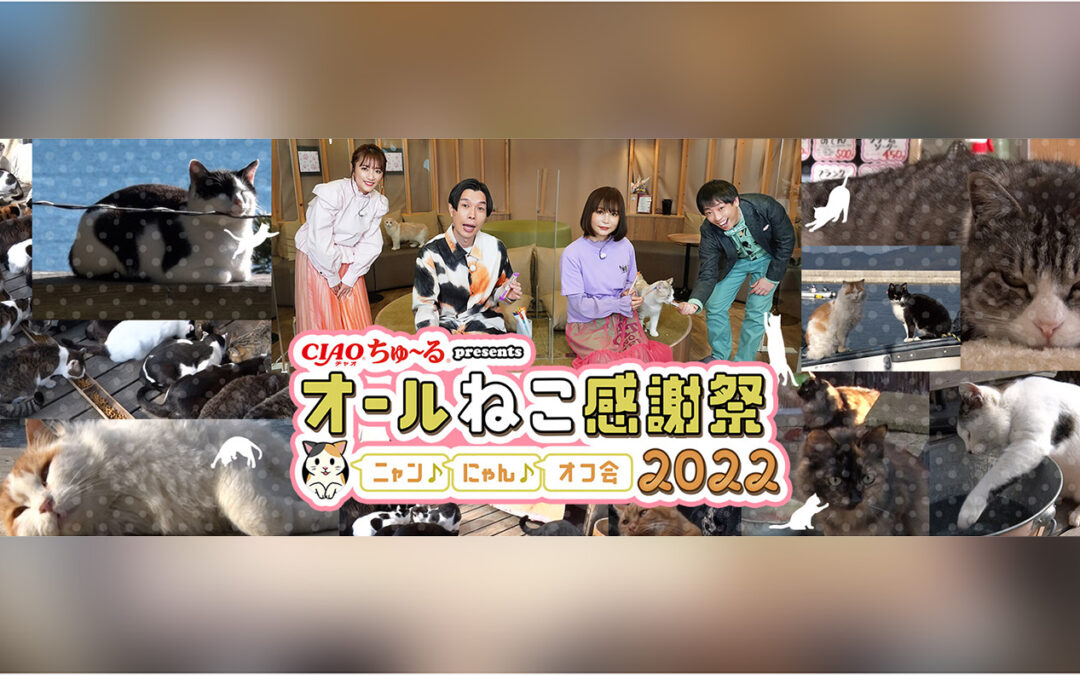 新宿東口の猫がBSテレビ東京オール猫感謝祭で紹介されました。