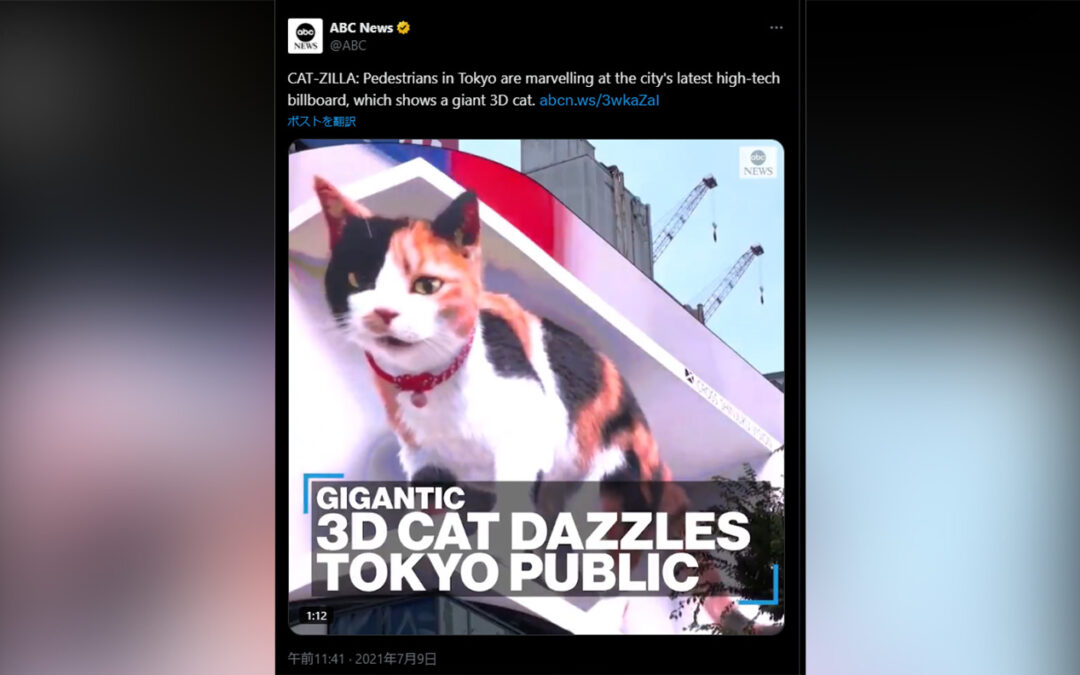 『ABC News』で新宿東口の猫が紹介されました。