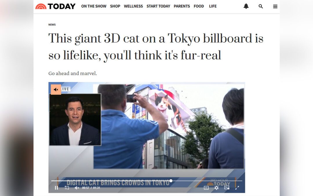 『NBC TODAY』で新宿東口の猫が紹介されました。